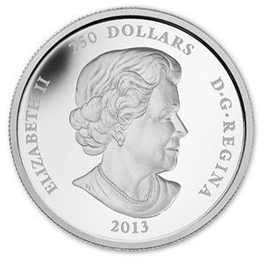 $250 Year of the Snake 1 Kilo Pure Silver Coin 2013 - MintedMarket