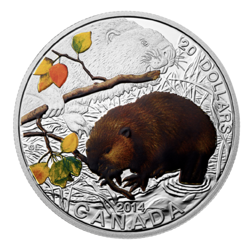 $20 Baby Beaver Silver Coin 2014 - MintedMarket