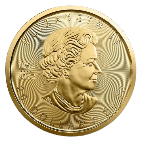 1/2 oz Canadian Maple Leaf Gold Coin 2023 - MintedMarket