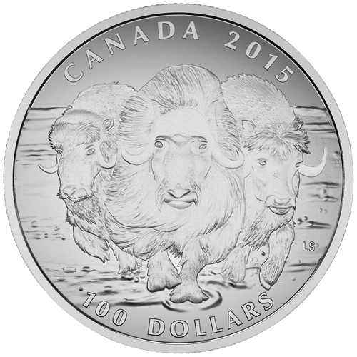 $100 Muskox Fine Silver Coin 2015 - MintedMarket