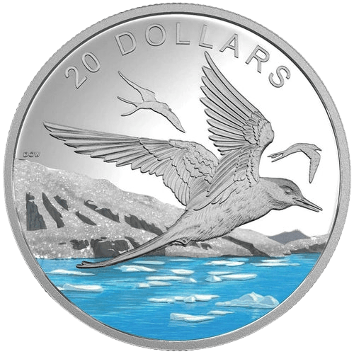 $20 Glistening North: Arctic Tern Silver Coin 2017 - MintedMarket