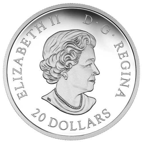 $20 Protecting Our Future Fine Silver Coin 2017 - MintedMarket