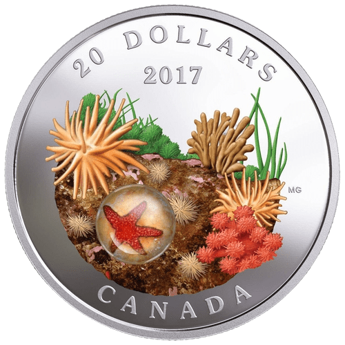 $20 Under The Sea: Sea Star Silver Coin 2017 - MintedMarket