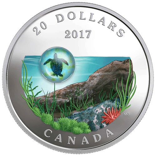$20 Under The Sea: Sea Turtle Silver Coin 2017 - MintedMarket