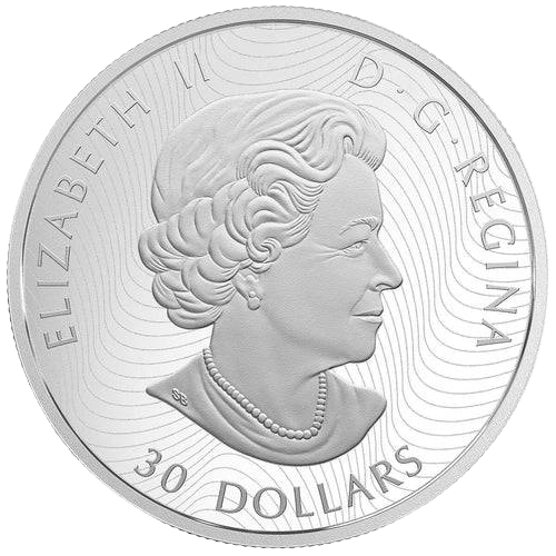 $30 Dimensional Nature: Polar Bears Silver Coin 2018 - MintedMarket