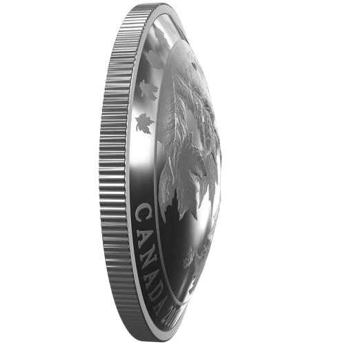 $50 Maple Leaves in Motion Silver Convex Coin 2017 - MintedMarket