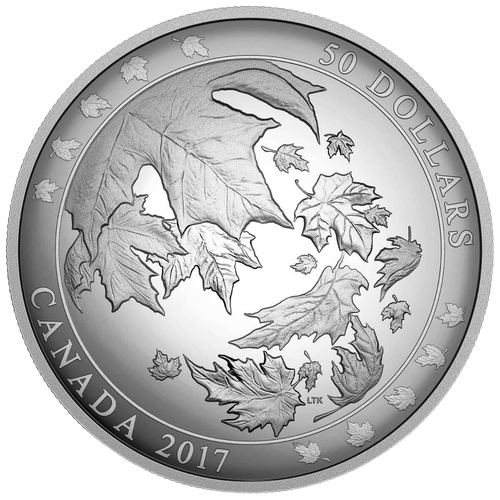 $50 Maple Leaves in Motion Silver Convex Coin 2017 - MintedMarket