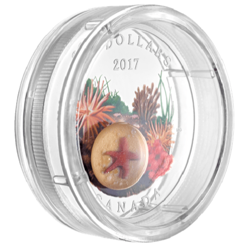 Under The Sea: Sea Star Silver Coin 2017 - MintedMarket